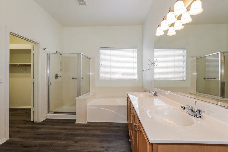 1,950/Mo, 13587 W Tara Lane Surprise, AZ 85374 Main Bathroom View 2