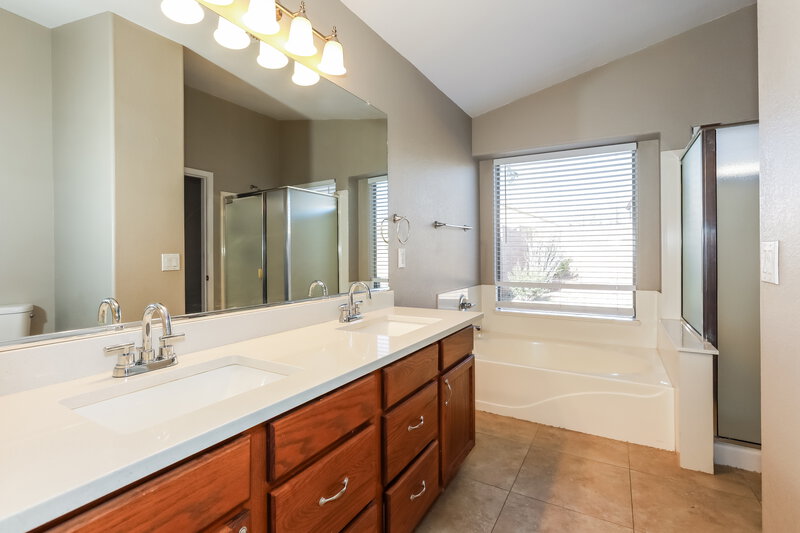 1,680/Mo, 672 E Lovegrass Dr San Tan Valley, AZ 85143 Main Bathroom View 2