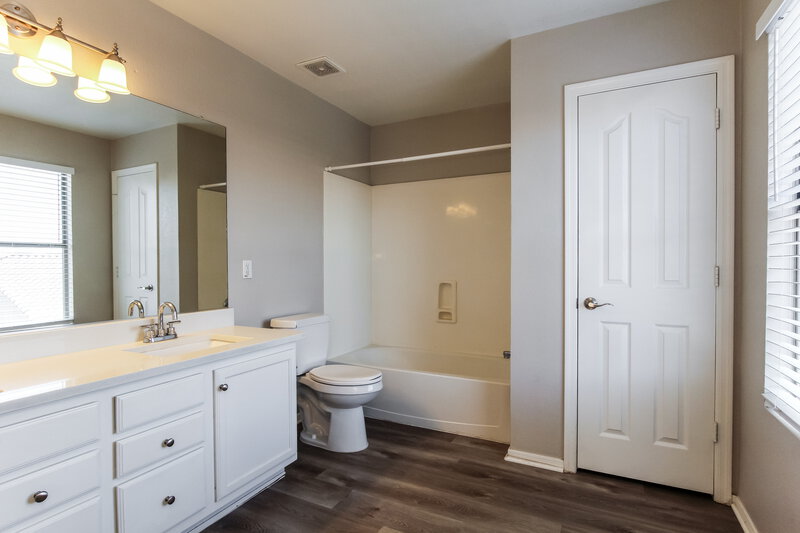 2,220/Mo, 16919 W Marshall Ln Surprise, AZ 85388 Main Bathroom View