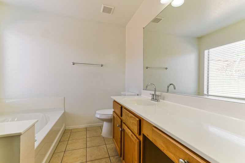 1,795/Mo, 3041 E Pinto Valley Rd San Tan Valley, AZ 85143 Bathroom View 2