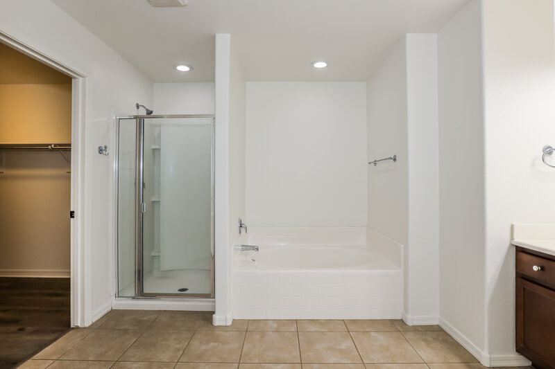 1,765/Mo, 4393 W Crescent Rd San Tan Valley, AZ 85142 Main Bathroom View 2