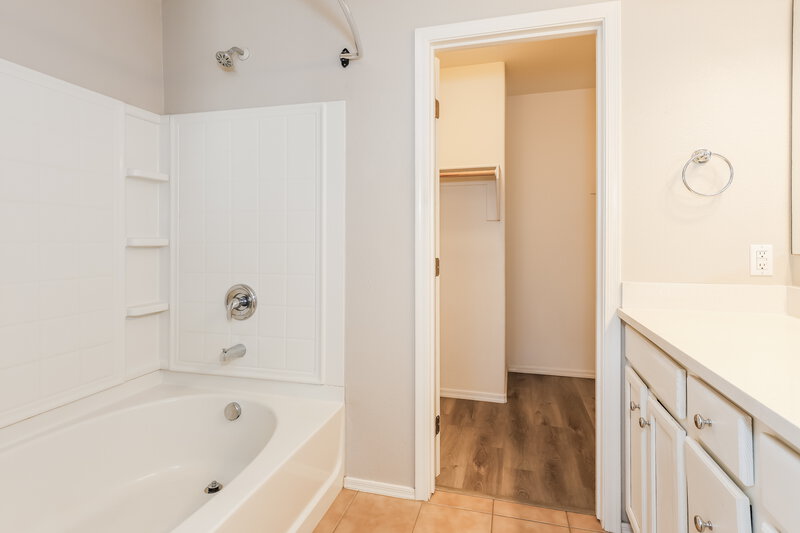 1,780/Mo, 38059 N Carolina Avenue San Tan Valley, AZ 85140 Main Bathroom View