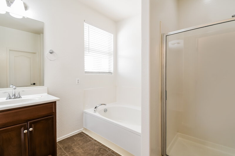 1,845/Mo, 27741 N Amira Way Queen Creek, AZ 85143 Main Bathroom View