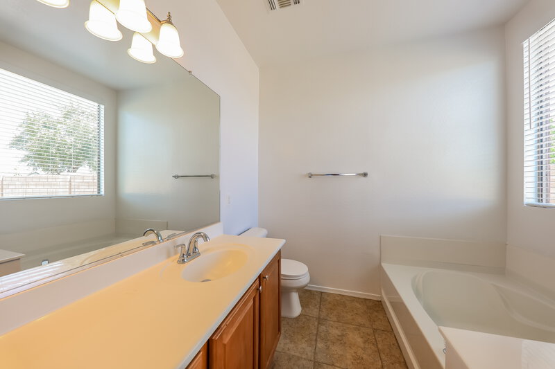 1,895/Mo, 16724 N 177th Ave Surprise, AZ 85388 Main Bathroom View
