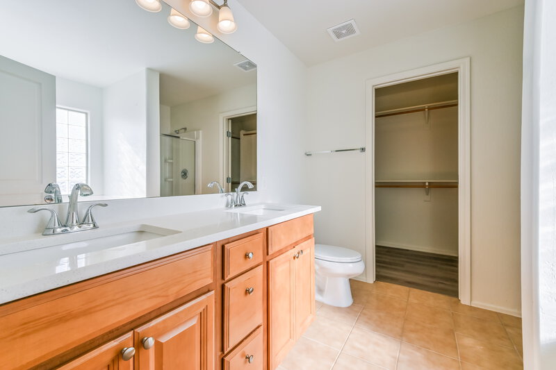 2,020/Mo, 28779 N Spur Dr San Tan Valley, AZ 85143 Main Bathroom View