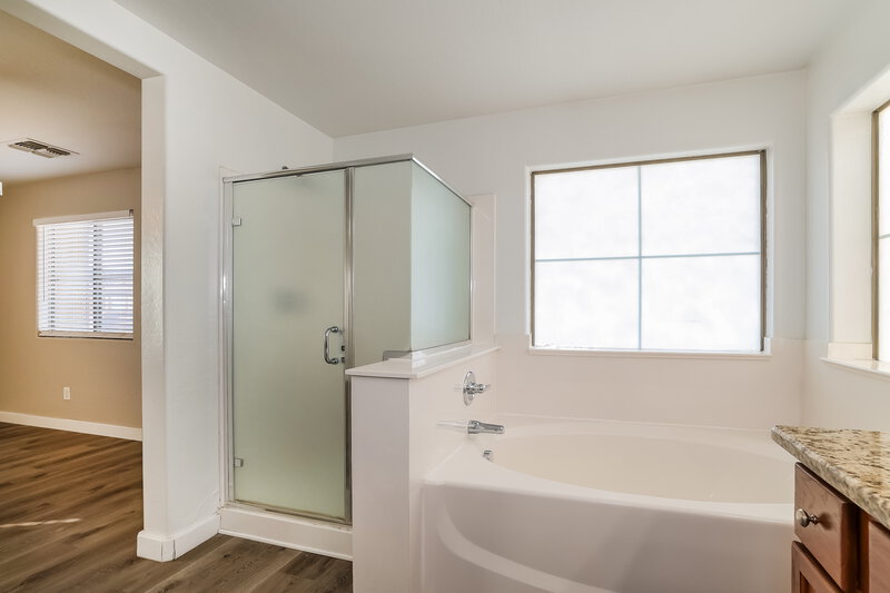 2,255/Mo, 129 E Catclaw St Gilbert, AZ 85296 Main Bathroom View 2