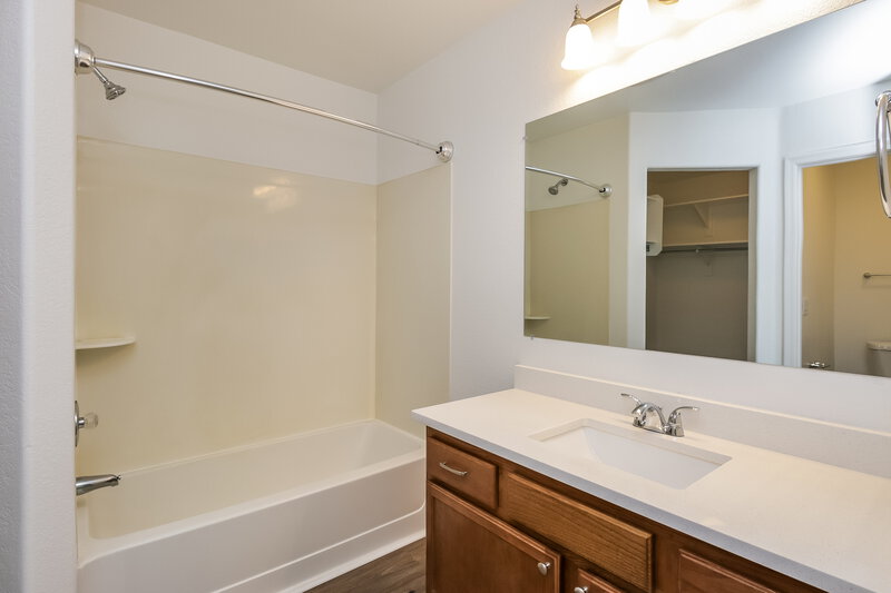 1,810/Mo, 29409 N Pyrite Ln San Tan Valley, AZ 85143 Main Bathroom View