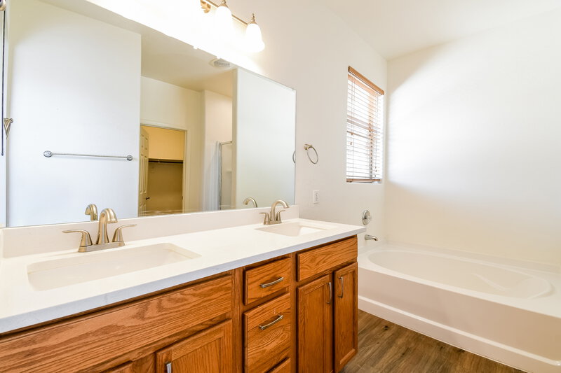 1,835/Mo, 1062 E Nickleback St San Tan Valley, AZ 85143 Main Bathroom View 2