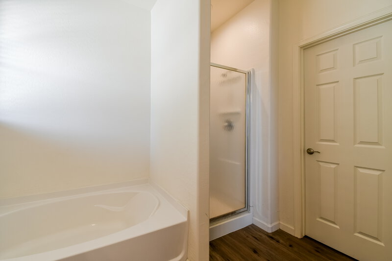 1,835/Mo, 1062 E Nickleback St San Tan Valley, AZ 85143 Main Bathroom View 3