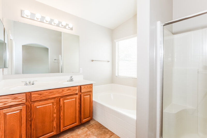 1,895/Mo, 2783 E Cowboy Cove Trl San Tan Valley, AZ 85143 Main Bathroom View 2