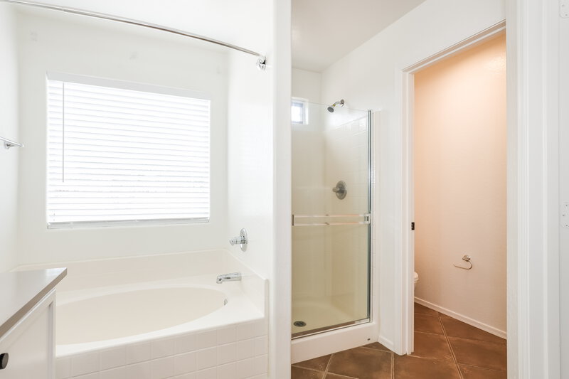 2,160/Mo, 23189 S 215th St Queen Creek, AZ 85142 Main Bathroom View 2