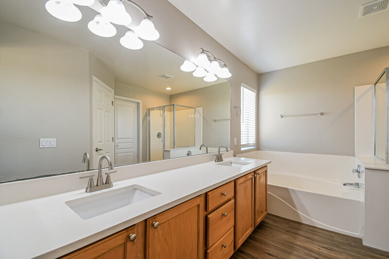 2,845/Mo, 3719 S Colt Dr Gilbert, AZ 85297 Main Bathroom View