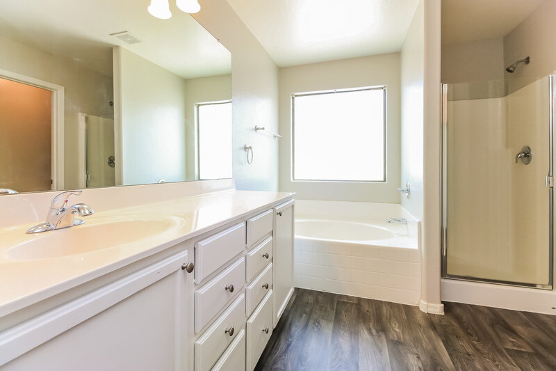 1,565/Mo, 18651 N Madison Road Maricopa, AZ 85139 Main Bathroom View