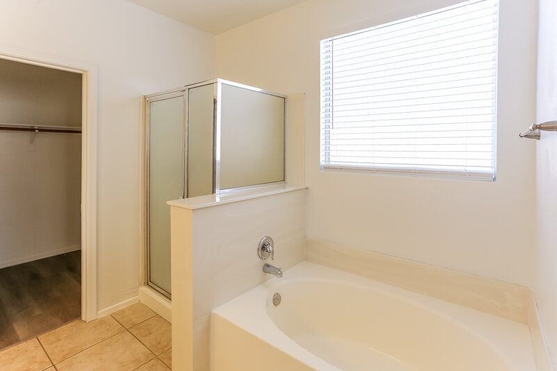 3,710/Mo, 3374 E Santa Fe Ln Gilbert, AZ 85297 Main Bathroom View 2