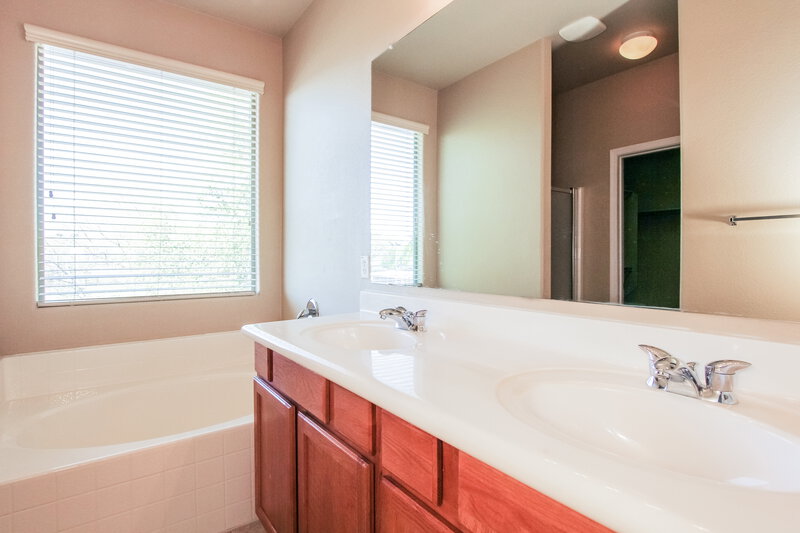 2,705/Mo, 3806 E Geronimo St Gilbert, AZ 85295 Main Bathroom View