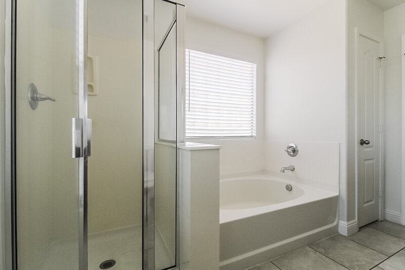 2,365/Mo, 17110 N 184th Dr Surprise, AZ 85374 Main Bathroom View 2