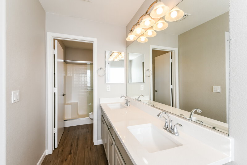 2,700/Mo, 40915 N Barnum Way Anthem, AZ 85086 Main Bathroom View 2