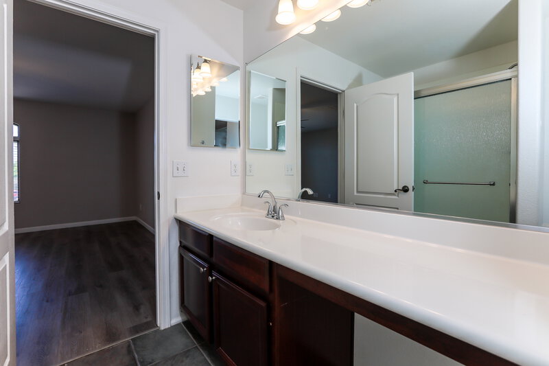 1,985/Mo, 35411 N Danish Red Trail San Tan Valley, AZ 85143 Main Bathroom View 2