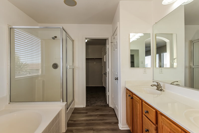 3,390/Mo, 14626 W Acapulco Ln Surprise, AZ 85379 Main Bathroom View