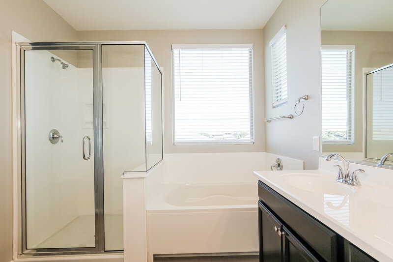 2,695/Mo, 20698 E Canary Way Queen Creek, AZ 85142 Main Bathroom View