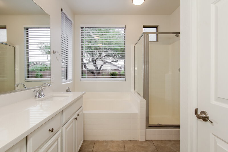 2,265/Mo, 42941 N Challenger Trl Anthem, AZ 85086 Main Bathroom View