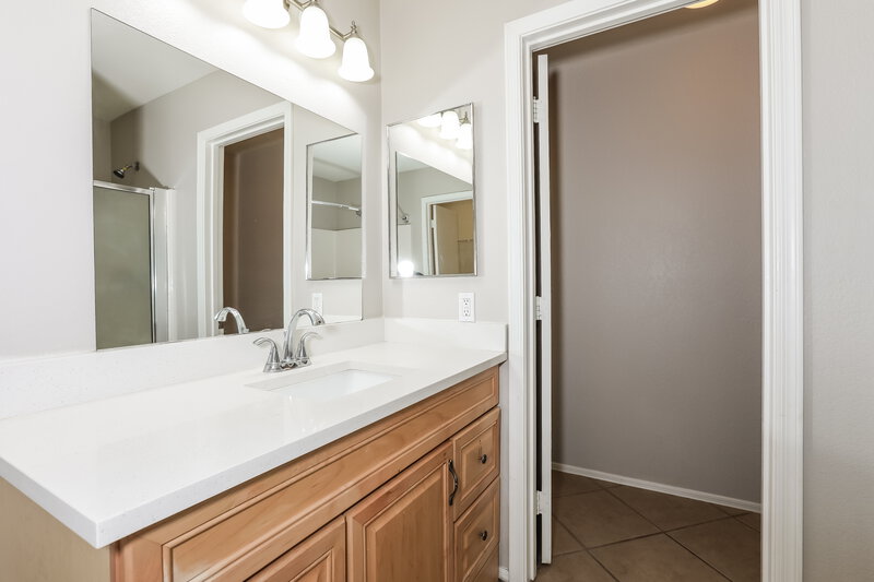 1,875/Mo, 1071 E Desert Moon Trl San Tan Valley, AZ 85143 Main Bathroom View