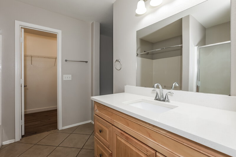 1,875/Mo, 1071 E Desert Moon Trl San Tan Valley, AZ 85143 Main Bathroom View 2
