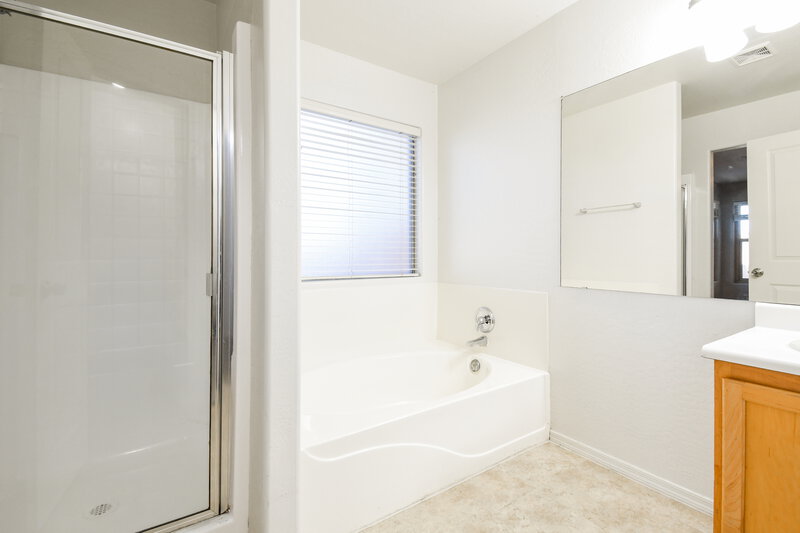 2,080/Mo, 3879 S Conestoga Rd Apache Junction, AZ 85119 Main Bathroom View