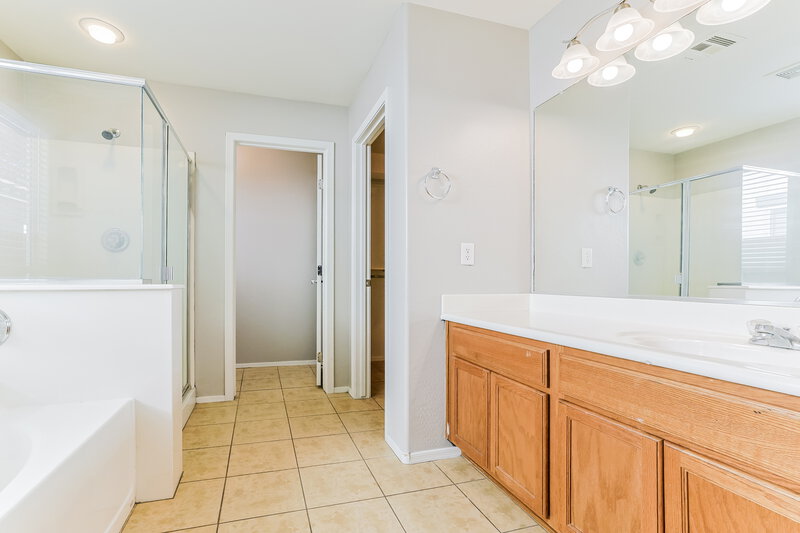 1,760/Mo, 1505 E Lakeview Dr San Tan Valley, AZ 85143 Main Bathroom View