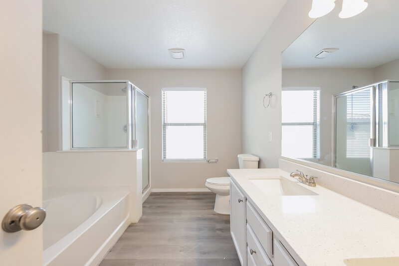 2,475/Mo, 21160 E Munoz St Queen Creek, AZ 85142 Main Bathroom View