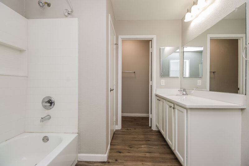 1,975/Mo, 1198 E Dust Devil DR San Tan Valley, AZ 85143 Main Bathroom View
