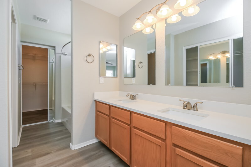 2,000/Mo, 40598 N Domiano St San Tan Valley, AZ 85140 Main Bathroom View