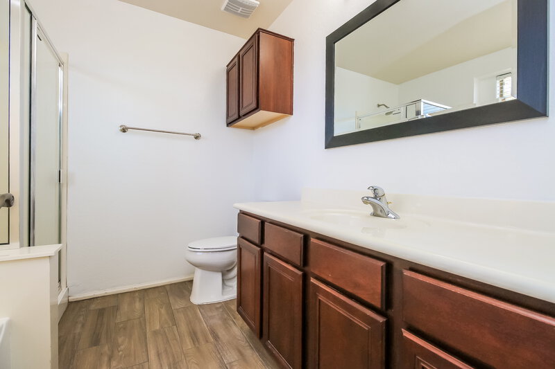 1,740/Mo, 35671 N Mirandesa Dr San Tan Valley, AZ 85143 Main Bathroom View