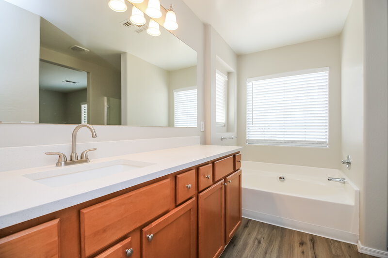 2,050/Mo, 3884 E Santa Fe Ln Gilbert, AZ 85297 Main Bathroom View