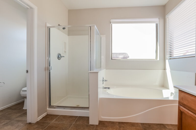 2,575/Mo, 3151 S Southwind Dr Gilbert, AZ 85295 Main Bathroom View 2