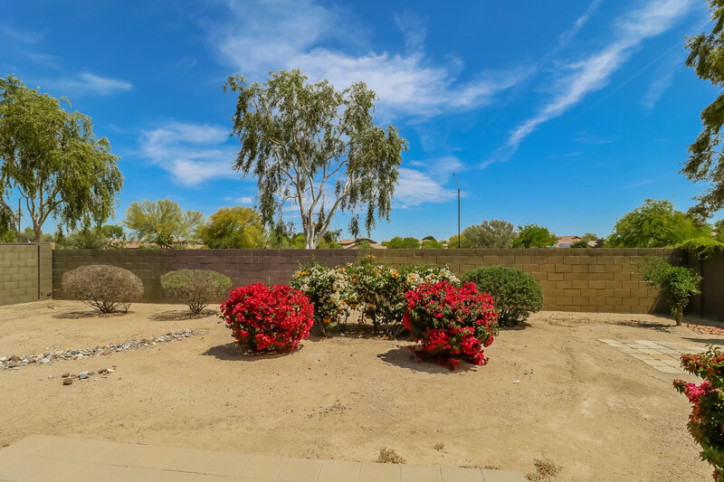 2,240/Mo, 1903 S 169th Ave Goodyear, AZ 85338 Rear View 2