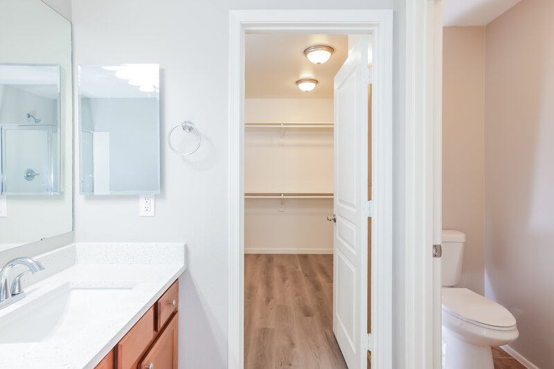 2,250/Mo, 17716 N 114th Ln Surprise, AZ 85378 Bathroom View