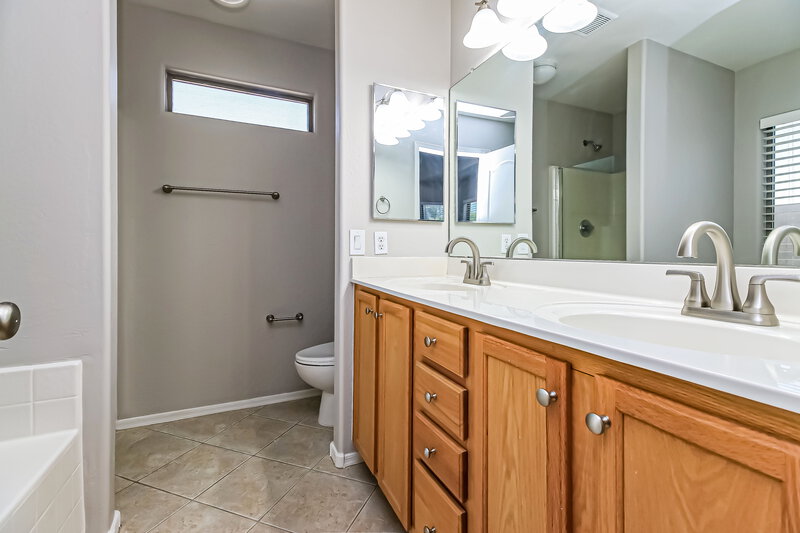 2,150/Mo, 22159 E Via del Rancho Queen Creek, AZ 85142 Main Bathroom View