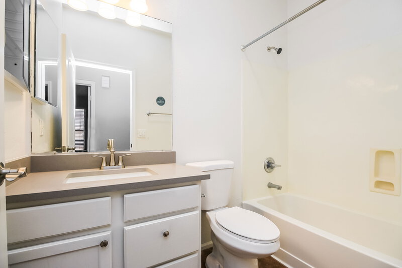 1,795/Mo, 729 E Beargrass Pl San Tan Valley, AZ 85143 Bathroom View