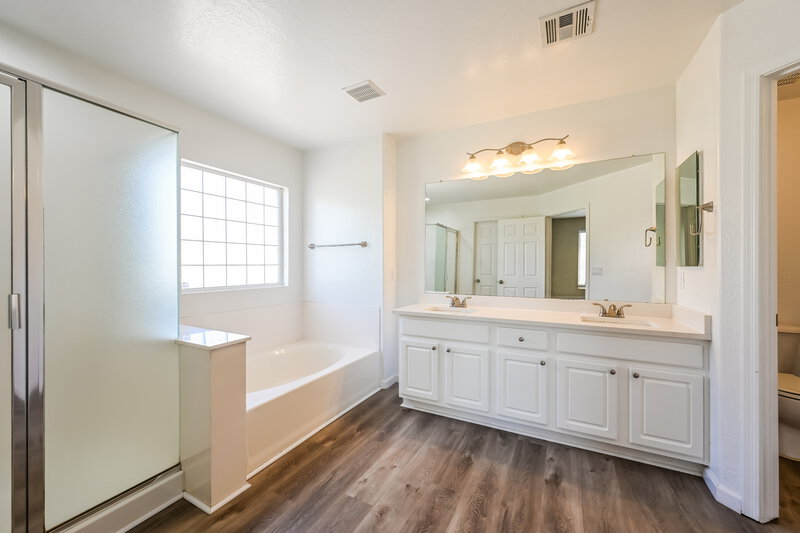 2,380/Mo, 15825 W Redfield Rd Surprise, AZ 85379 Main Bathroom View