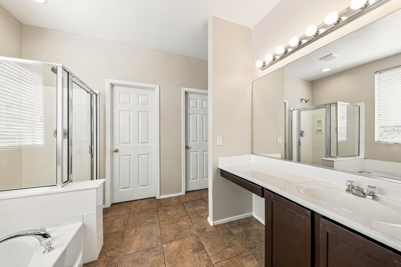 2,395/Mo, 17606 W Bridger St Surprise, AZ 85388 Primary Bathroom View