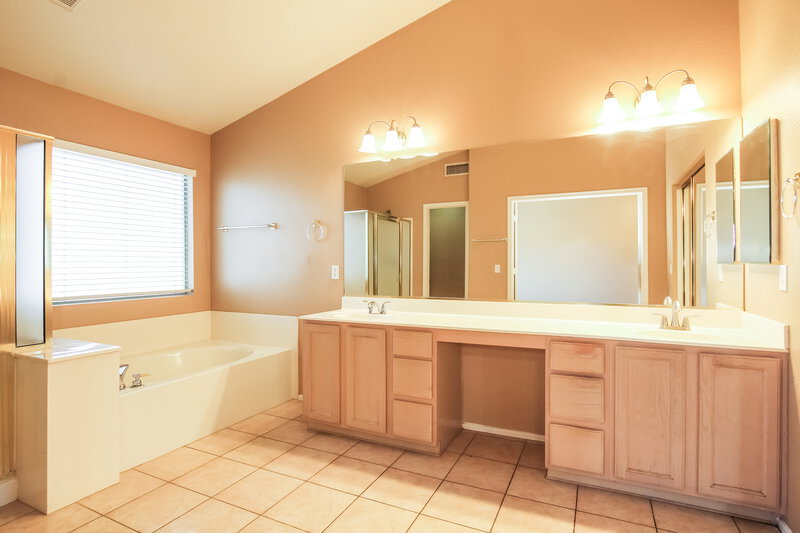 3,115/Mo, 26250 N 42nd St Phoenix, AZ 85050 Main Bathroom View