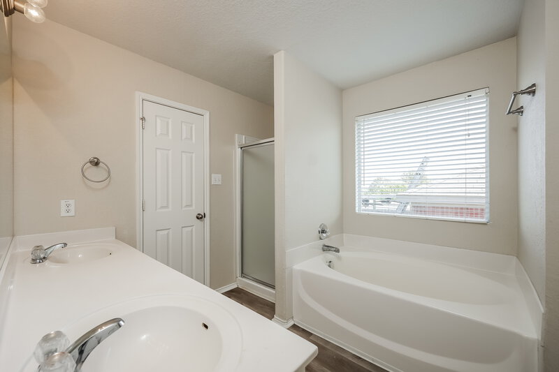 1,910/Mo, 1768 Lower Forty New Braunfels, TX 78130 Bathroom View