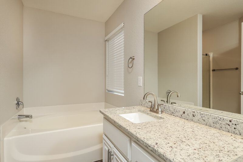 1,890/Mo, 7406 Horizon Pt San Antonio, TX 78242 Main Bathroom View 2