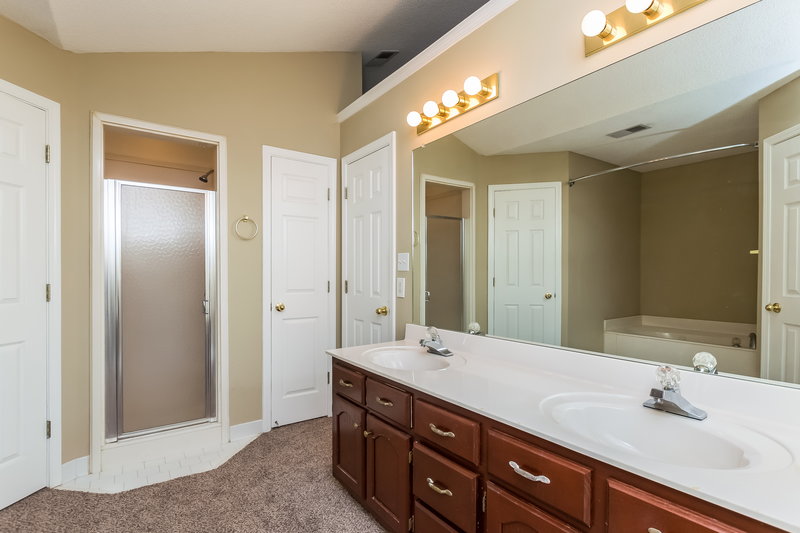 1,860/Mo, 7395 Bridle Cv Southaven, MS 38671 Bathroom View 3