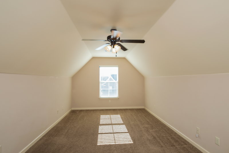 invisible tree Just an unused window screen screwed into the ceiling, clear  fishing line, orna…