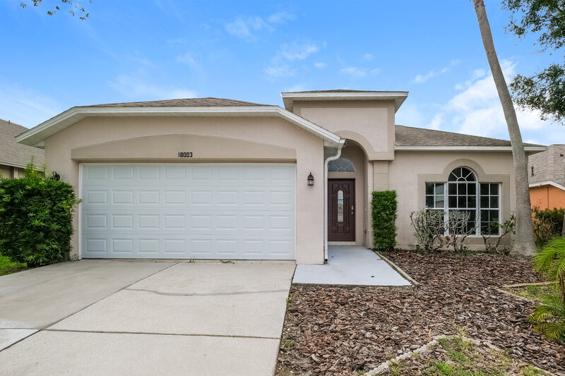2,580/Mo, 18003 Misty Blue Ln Tampa, FL 33647 External View