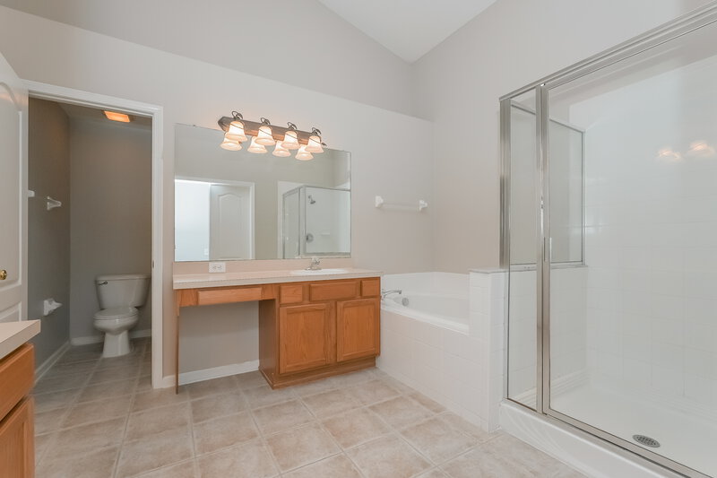 2,605/Mo, 19317 Otters Wick Way Land O' Lakes, FL 34638 Main Bathroom View