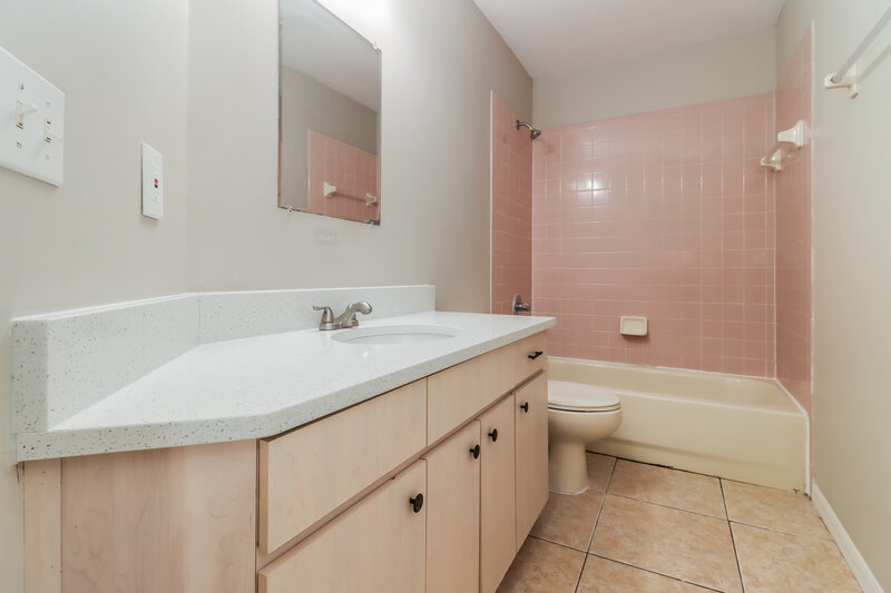 3,540/Mo, 1742 Hulett Dr Brandon, FL 33511 Bathroom View