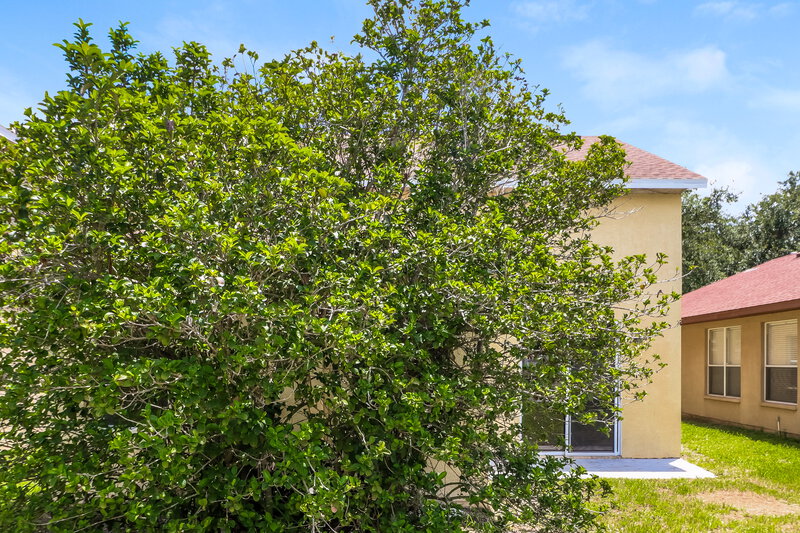 2,255/Mo, 10330 Avelar Ridge Dr Riverview, FL 33578 Rear View